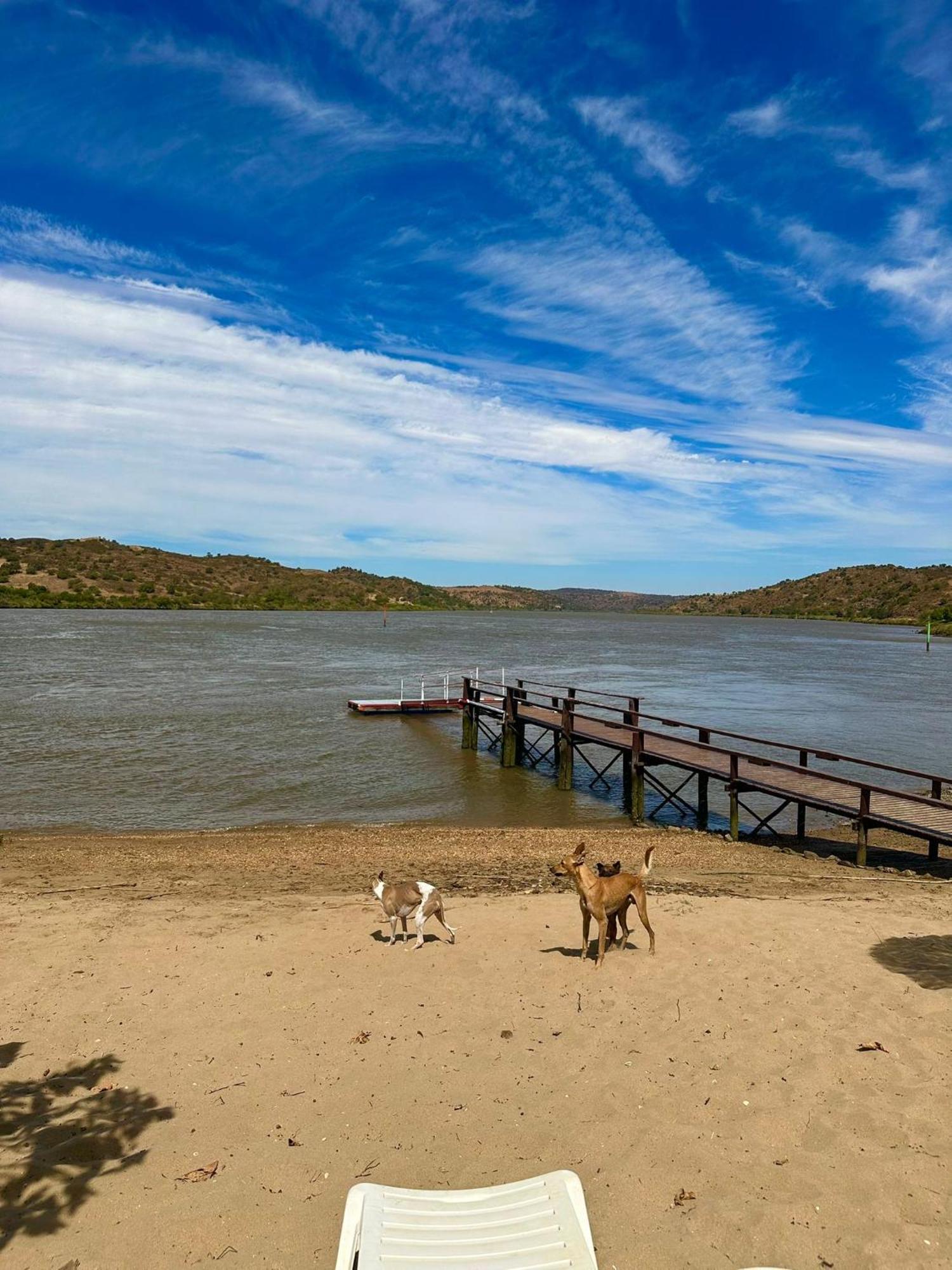 Magnifica Casa A Orillas Del Guadiana ウエルバ エクステリア 写真