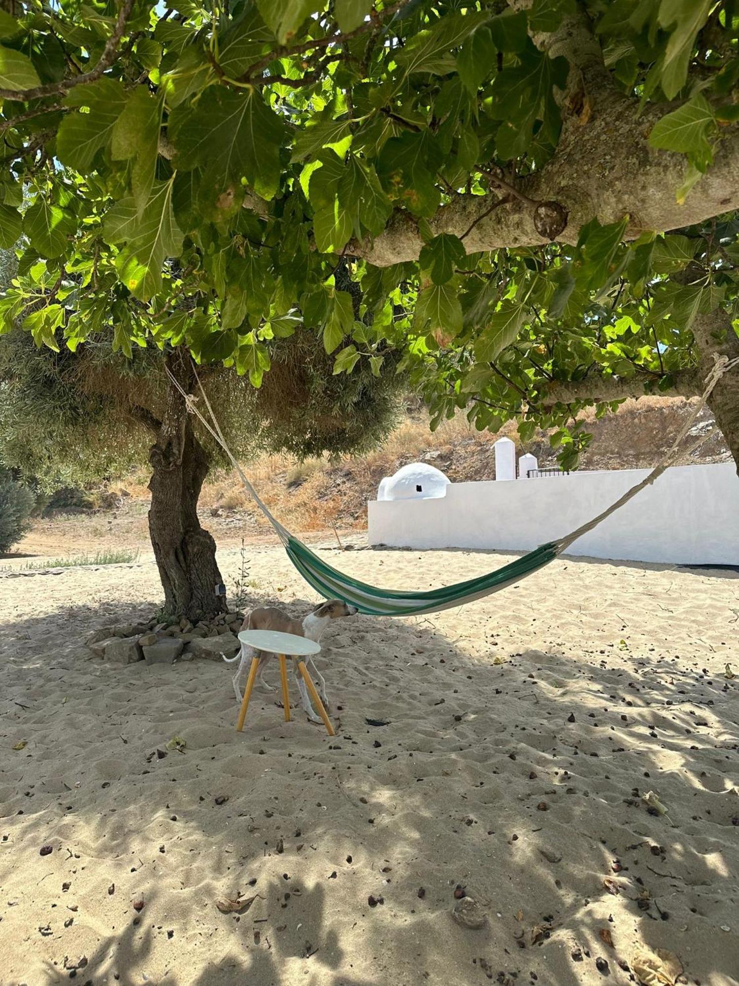 Magnifica Casa A Orillas Del Guadiana ウエルバ エクステリア 写真